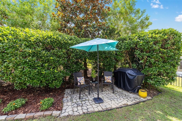7263 SW 99th Cir, Ocala, FL 34481 - view of patio / terrace with area for grilling