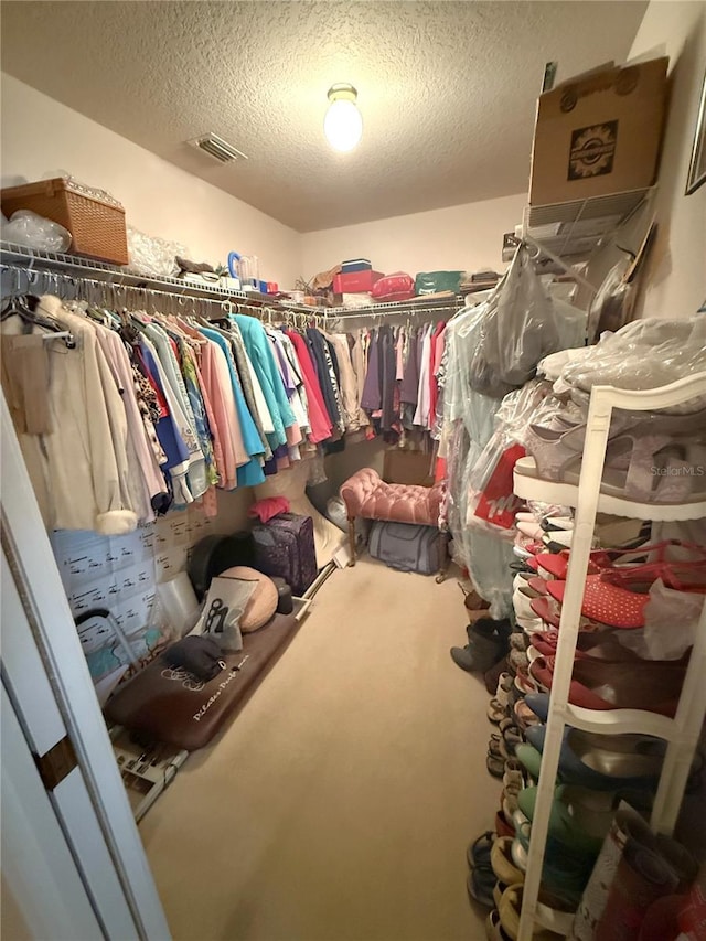 1001 NE 22nd Ave, Ocala, FL 34470 - spacious closet with carpet flooring