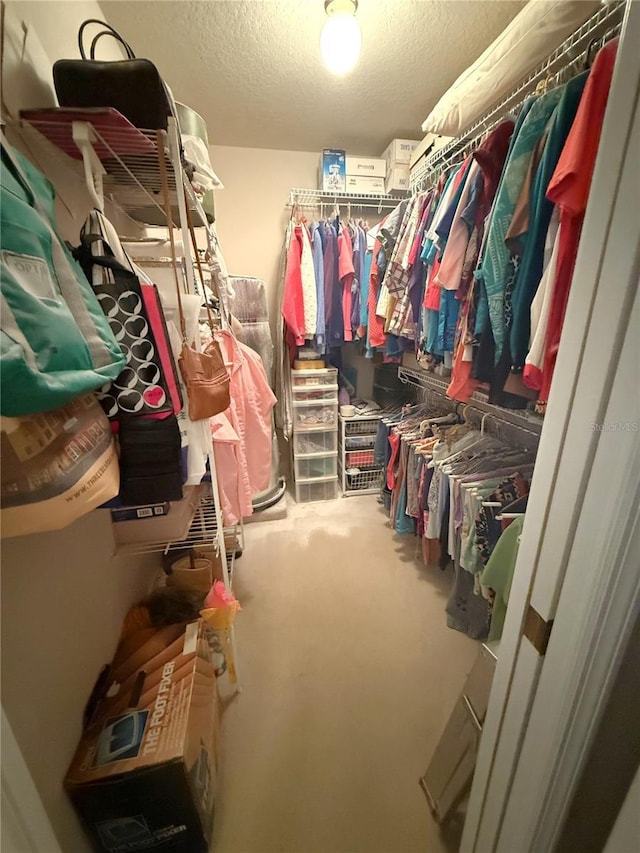1001 NE 22nd Ave, Ocala, FL 34470 - walk in closet with carpet flooring