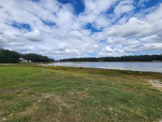 23350 SW Marine Blvd, Dunnellon, FL 34431 - photo 20