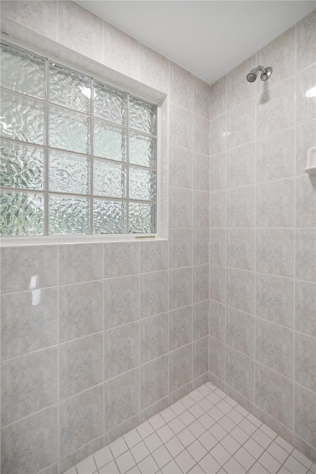 1628 SE 29th Ter, Ocala, FL 34471 - bathroom featuring tiled shower