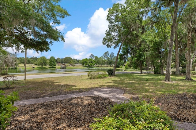 1628 SE 29th Ter, Ocala, FL 34471 - surrounding community featuring a water view