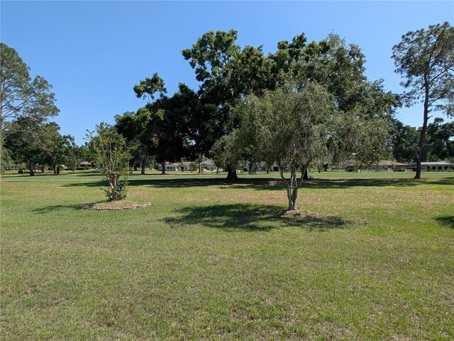 234 E Eureka Ct, Hernando, FL 34442 - photo 48