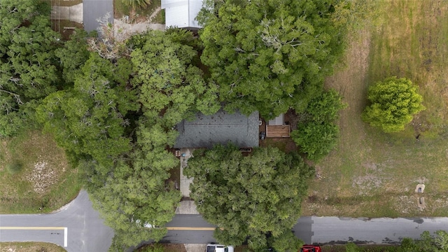 3800 NE 24th Ct, Ocala, FL 34479 - drone / aerial view