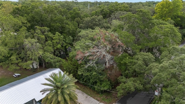 3800 NE 24th Ct, Ocala, FL 34479 - aerial view of property's location featuring a forest