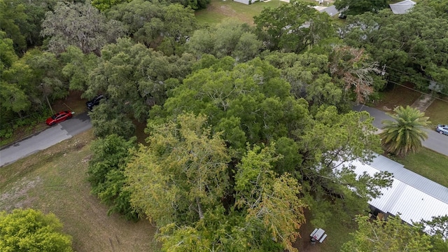 3800 NE 24th Ct, Ocala, FL 34479 - drone / aerial view of a heavily wooded area