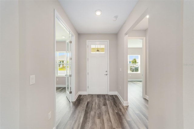 10625 SW 98th Pl, Ocala, FL 34481 - foyer with wood finished floors, plenty of natural light, and baseboards