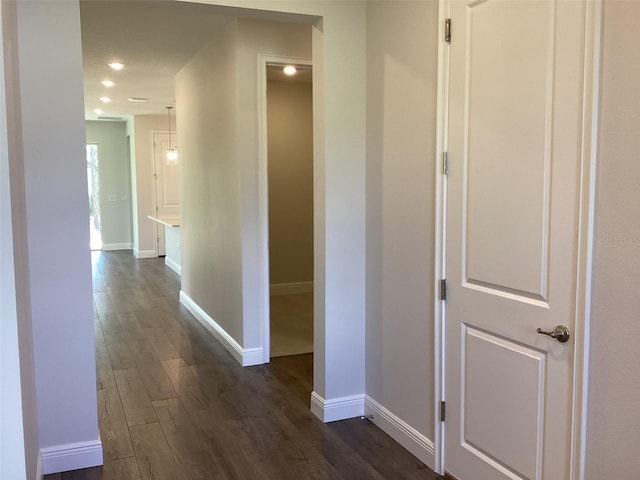 10540 SW 49th Avenue Rd, Ocala, FL 34476 - hall with dark wood finished floors and baseboards
