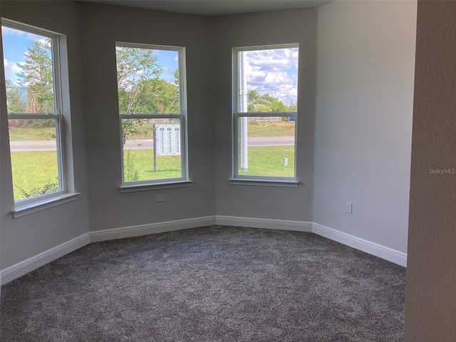 10540 SW 49th Avenue Rd, Ocala, FL 34476 - unfurnished room featuring dark colored carpet, plenty of natural light, and baseboards