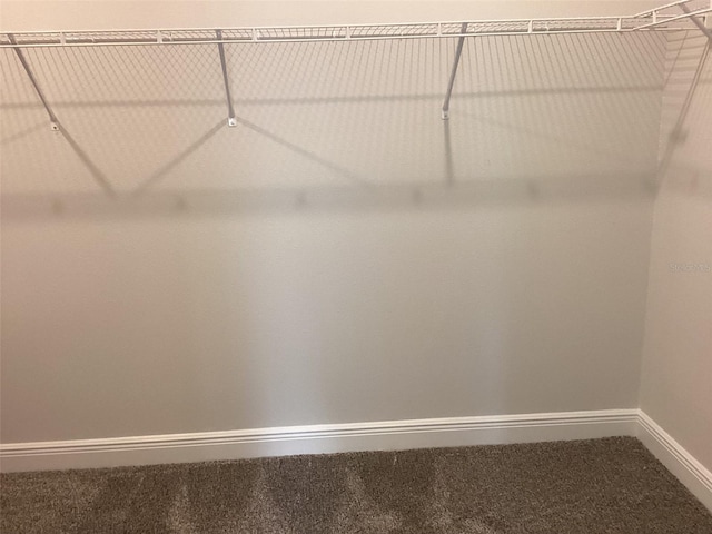10540 SW 49th Avenue Rd, Ocala, FL 34476 - walk in closet featuring carpet floors