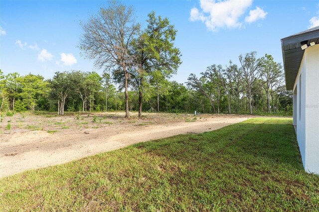 8200 SW 125th Court Rd, Dunnellon, FL 34432 - view of dirt / gravel road