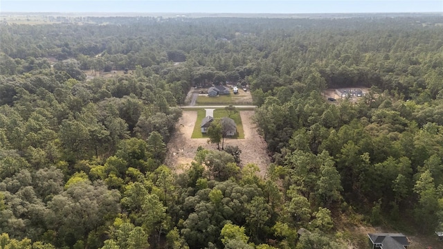 8200 SW 125th Court Rd, Dunnellon, FL 34432 - bird's eye view of a forest
