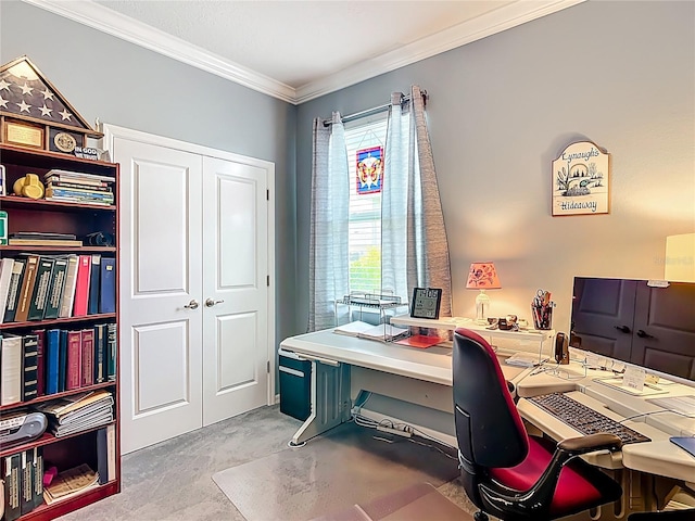 9237 SW 60th Terrace Rd, Ocala, FL 34476 - office space with crown molding and light colored carpet