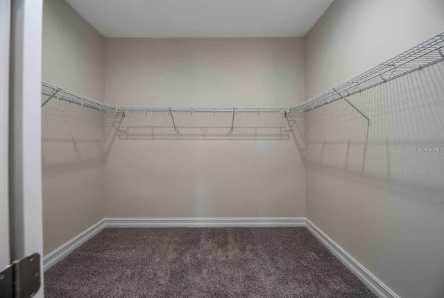 5830 SW 121st Ter, Ocala, FL 34481 - spacious closet with carpet flooring