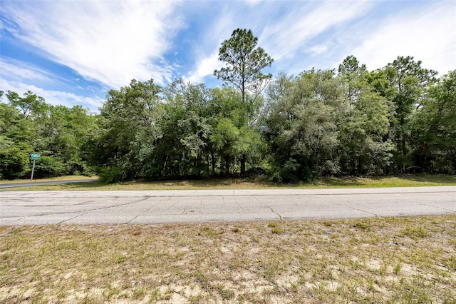10233 N Athenia Dr, Citrus Springs, FL 34434