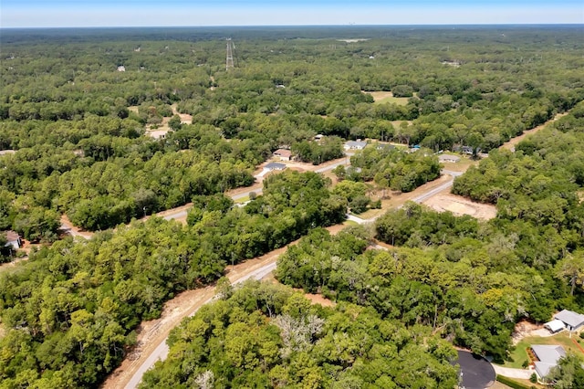 10233 N Athenia Dr, Citrus Springs, FL 34434