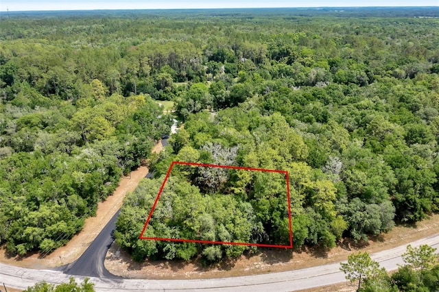 10233 N Athenia Dr, Citrus Springs, FL 34434