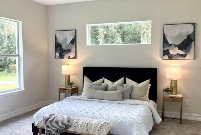 8290 NW 17th Cir, Ocala, FL 34475 - photo 9