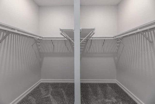 2050 NW 79th Loop, Ocala, FL 34475 - walk in closet featuring carpet floors
