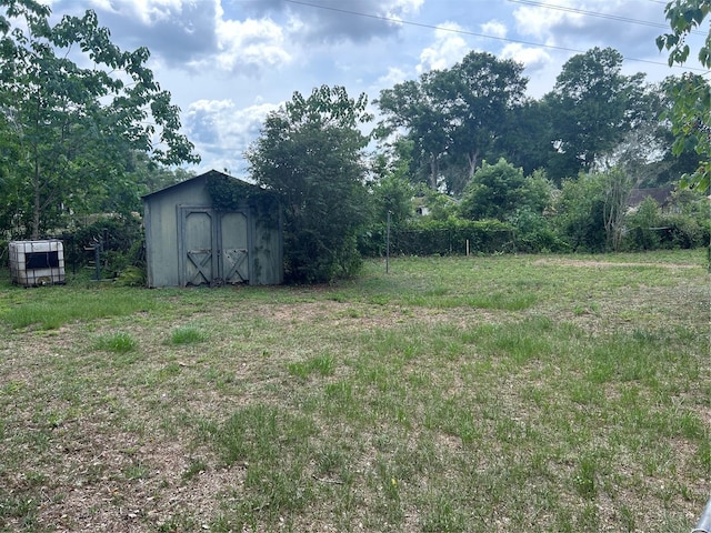 3885 NE 28th Ter, Ocala, FL 34479 - view of yard