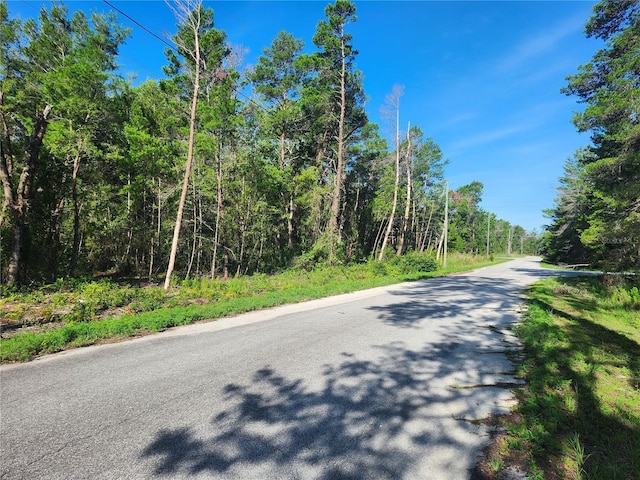 00 Fisher Trl, Ocklawaha, FL 32179 - photo 1