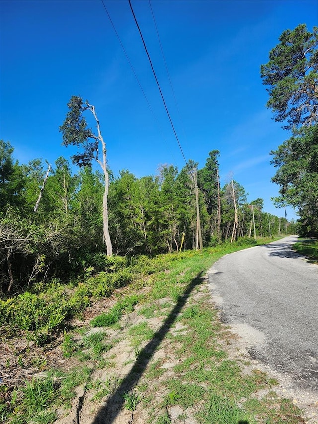 00 Fisher Trl, Ocklawaha, FL 32179 - photo 3