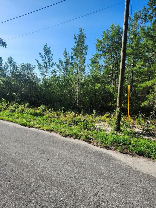 00 Fisher Trl, Ocklawaha, FL 32179 - photo 5