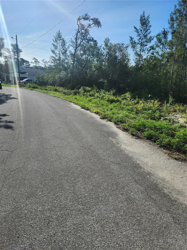 00 Fisher Trl, Ocklawaha, FL 32179 - photo 6