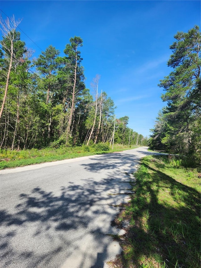 00 Fisher Trl, Ocklawaha, FL 32179 - photo 8