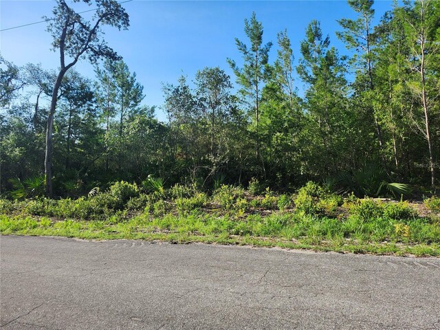 00 Fisher Trl, Ocklawaha, FL 32179 - photo 9