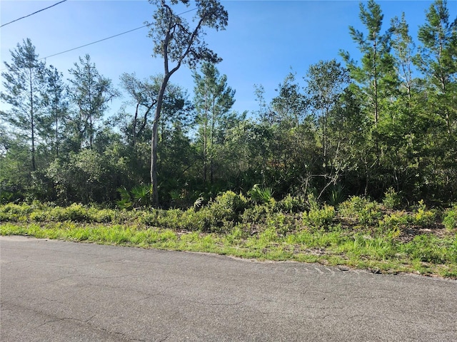 00 Fisher Trl, Ocklawaha, FL 32179 - photo 10