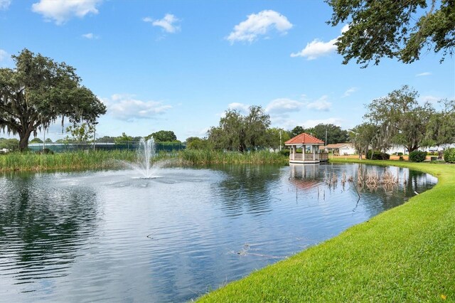 17890 SE 96th Ct, Summerfield, FL 34491 - water view
