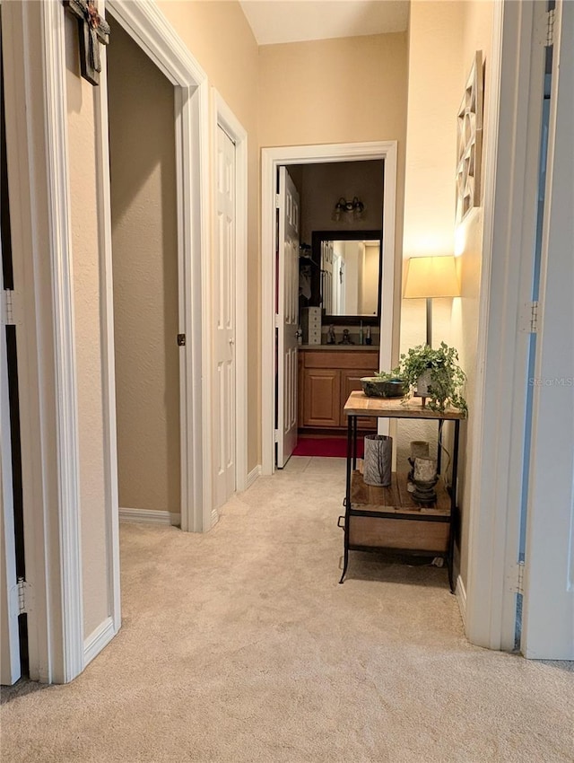 231 NE 28th Ave Unit 207, Ocala, FL 34470 - corridor featuring light carpet and baseboards