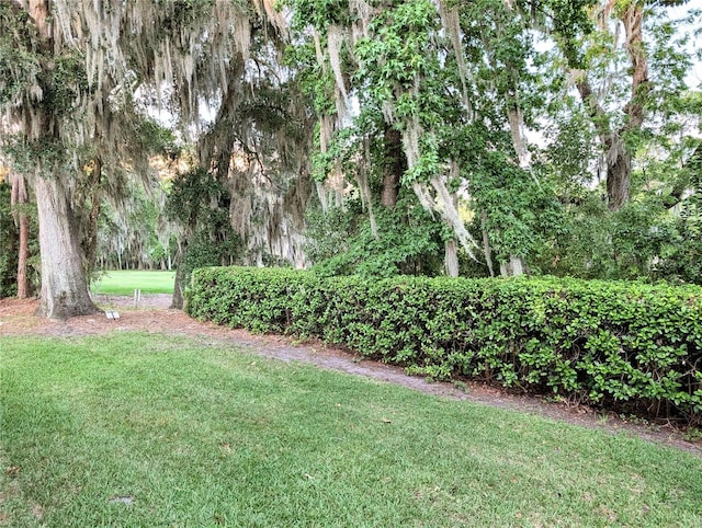 231 NE 28th Ave Unit 207, Ocala, FL 34470 - view of grassy yard
