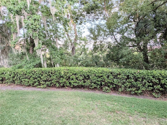 231 NE 28th Ave Unit 207, Ocala, FL 34470 - view of grassy yard