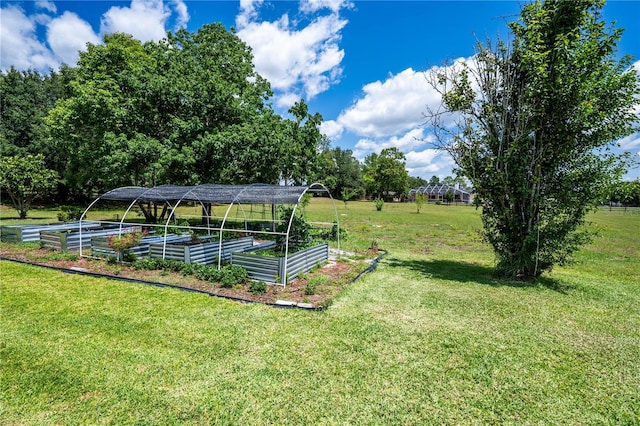 5815 NE 70th St, Silver Springs, FL 34488 - view of green lawn featuring a vegetable garden