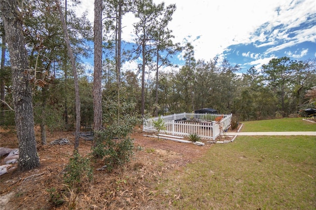 9805 N Dana Way, Citrus Springs, FL 34433 - view of yard featuring a wooded view