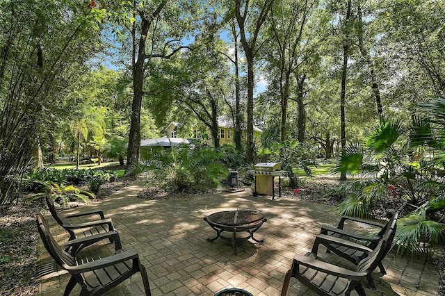 9175 SE 7th Avenue Rd, Ocala, FL 34480 - photo 49