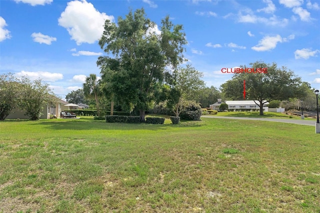 4731 N Crestline Dr, Beverly Hills, FL 34465 - view of grassy yard