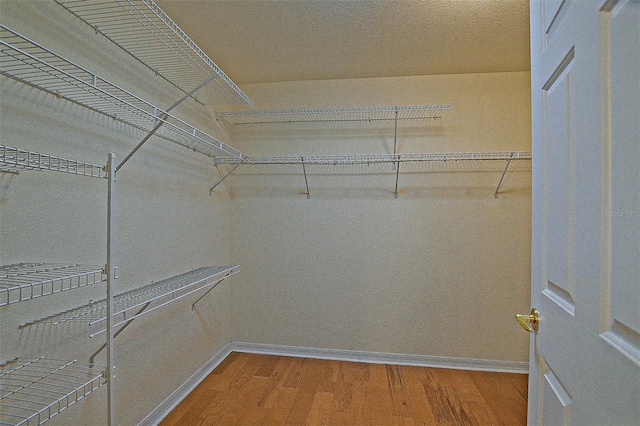 13863 SE 85th Cir, Summerfield, FL 34491 - photo 50