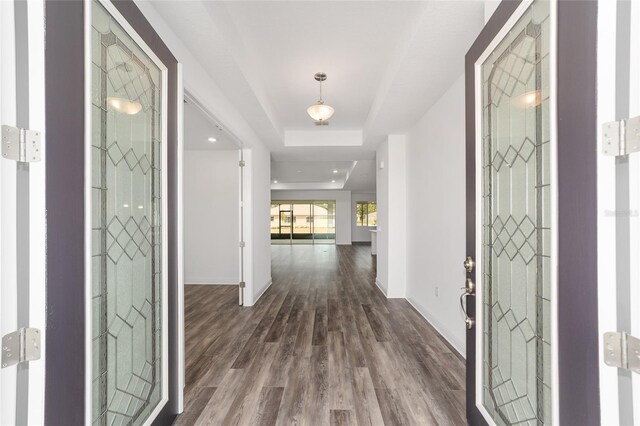10553 SW 98th Pl, Ocala, FL 34481 - entrance foyer featuring dark wood-style floors, a raised ceiling, and baseboards