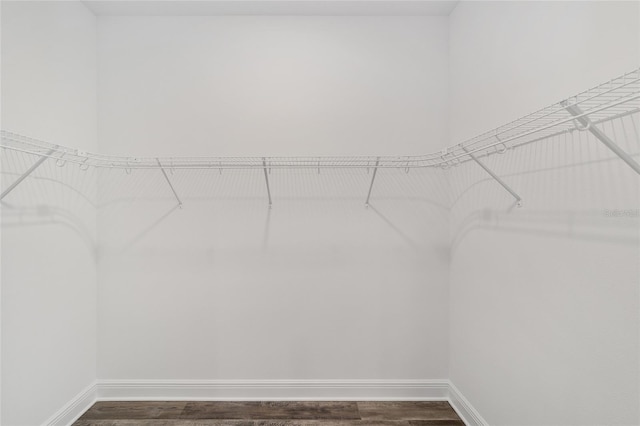 10553 SW 98th Pl, Ocala, FL 34481 - walk in closet with dark wood-style floors