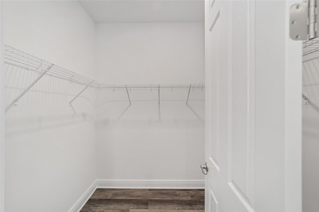 10553 SW 98th Pl, Ocala, FL 34481 - spacious closet with dark wood finished floors