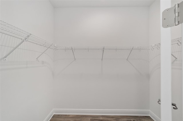10553 SW 98th Pl, Ocala, FL 34481 - spacious closet with wood finished floors