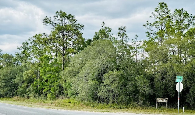 00 SW 140th Ave, Ocala, FL 34481