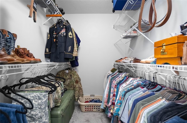 8015 N Tower Way, Citrus Springs, FL 34434 - walk in closet featuring carpet flooring