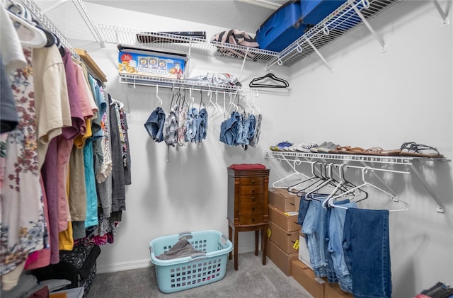 8015 N Tower Way, Citrus Springs, FL 34434 - walk in closet with carpet floors