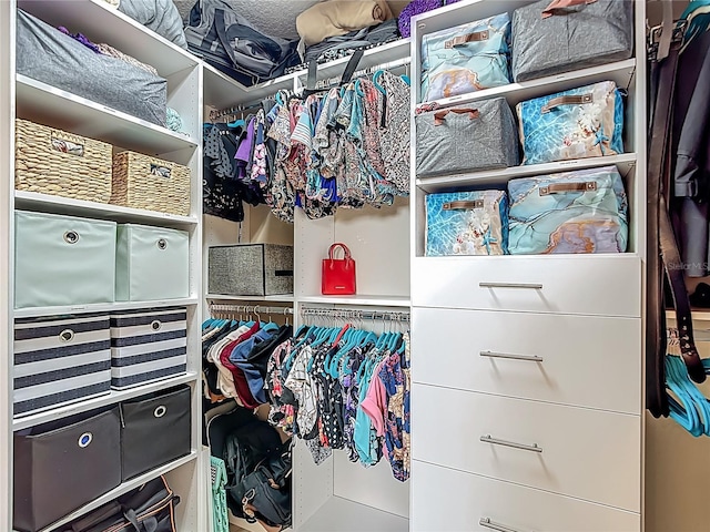 6812 Gideon Cir, Zephyrhills, FL 33541 - view of spacious closet