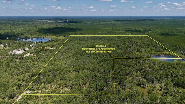 00 Leroy Lyons Rd, Perry, FL 32348