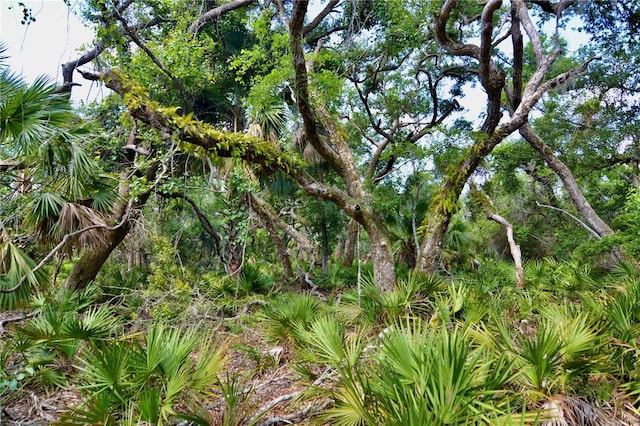 00 Leroy Lyons Rd, Perry, FL 32348
